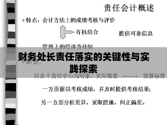 财务处长责任落实的关键性与实践探索