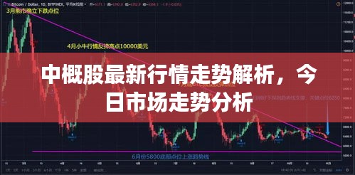 中概股最新行情走势解析，今日市场走势分析