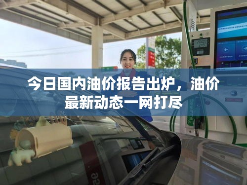 今日国内油价报告出炉，油价最新动态一网打尽
