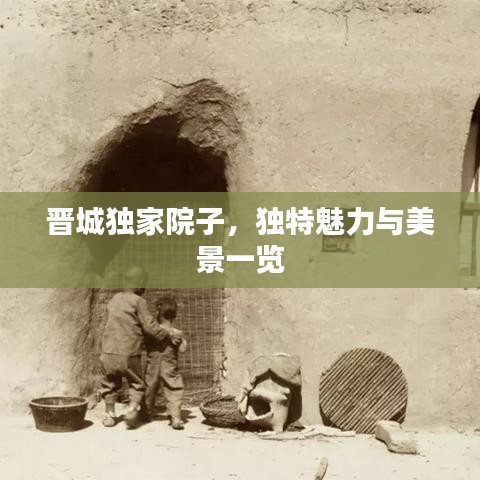 一毫不苟