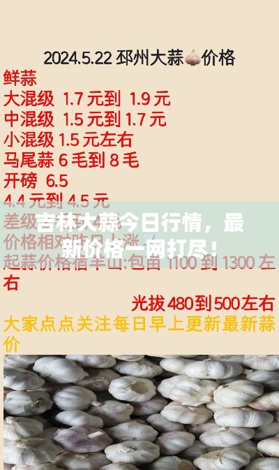 支付方式 第9页