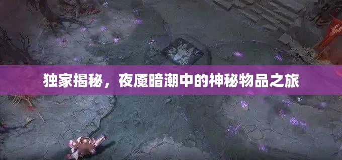 独家揭秘，夜魇暗潮中的神秘物品之旅