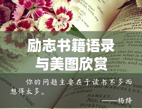 励志书籍语录与美图欣赏
