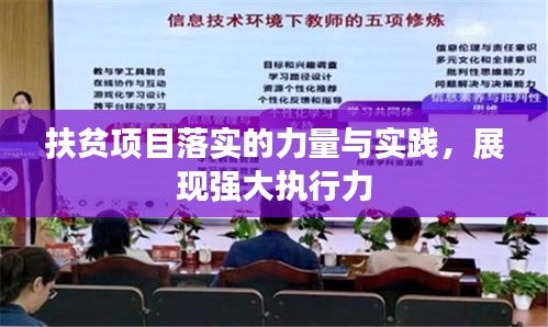 扶贫项目落实的力量与实践，展现强大执行力