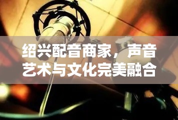 绍兴配音商家，声音艺术与文化完美融合