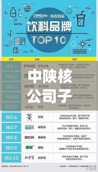 中陕核公司子公司排名大揭秘，影响力深度剖析！