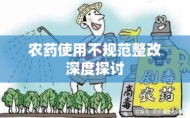 鲜花用途 第8页