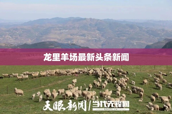 龙里羊场最新头条新闻