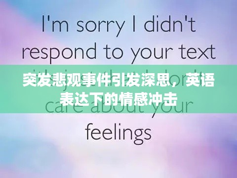 突发悲观事件引发深思，英语表达下的情感冲击