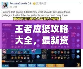王者应援攻略大全，最新资讯助你成为王者迷中的佼佼者！