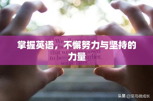 掌握英语，不懈努力与坚持的力量