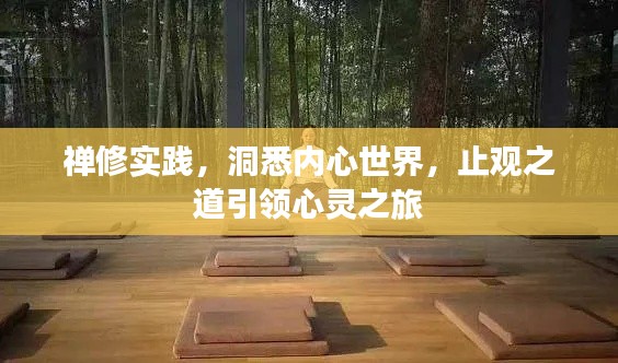 禅修实践，洞悉内心世界，止观之道引领心灵之旅