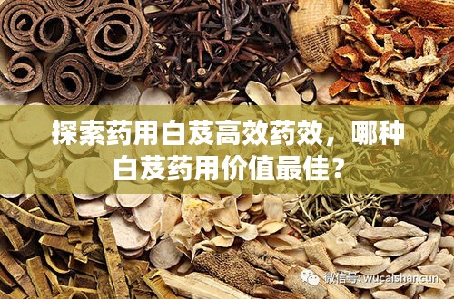 富贵利达