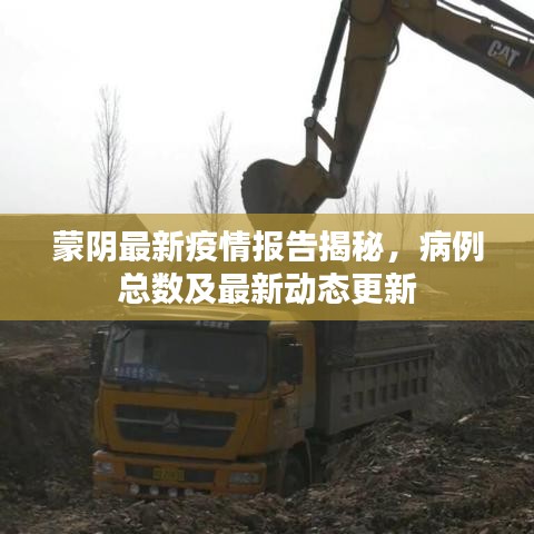 蒙阴最新疫情报告揭秘，病例总数及最新动态更新