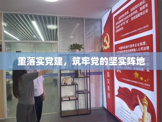 重落实党建，筑牢党的坚实阵地