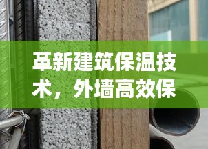 毛手毛脚