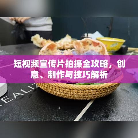 支付方式 第5页