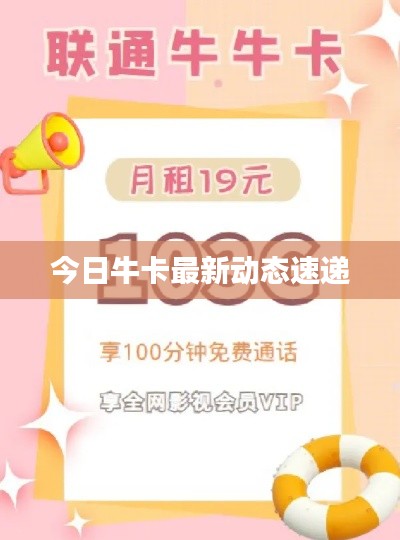 今日牛卡最新动态速递