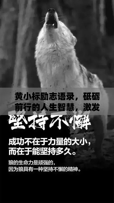 黄小标励志语录，砥砺前行的人生智慧，激发无限潜能！