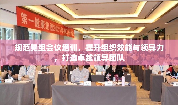 规范党组会议培训，提升组织效能与领导力，打造卓越领导团队
