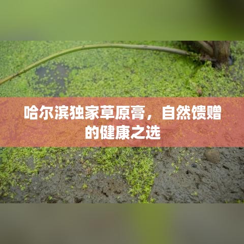 鲜花用途 第5页