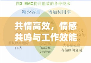 共情高效，情感共鸣与工作效能的融合之道