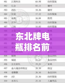 东北牌电瓶排名前十，品质卓越之选！