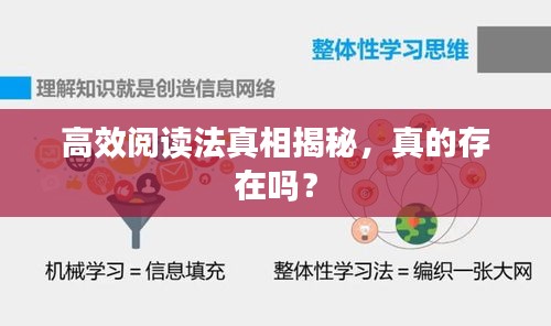 高效阅读法真相揭秘，真的存在吗？