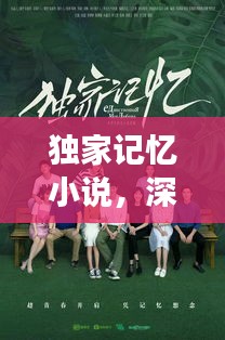 独家记忆小说，深情探索爱与记忆的奥秘之旅
