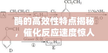 酶的高效性特点揭秘，催化反应速度惊人！