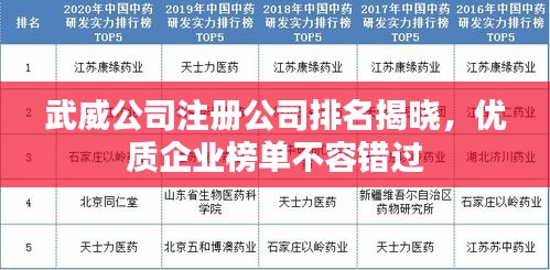 武威公司注册公司排名揭晓，优质企业榜单不容错过