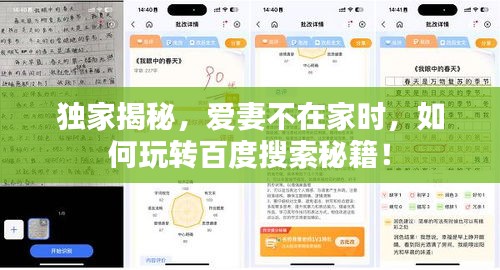 独家揭秘，爱妻不在家时，如何玩转百度搜索秘籍！