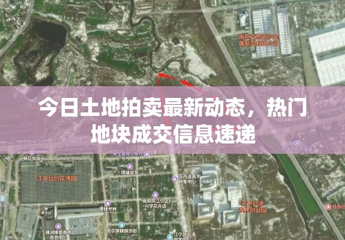 今日土地拍卖最新动态，热门地块成交信息速递