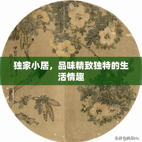 独家小居，品味精致独特的生活情趣
