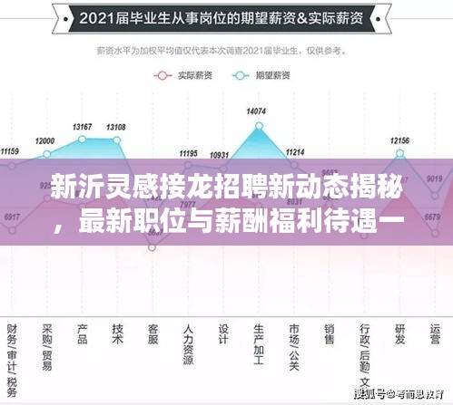 新沂灵感接龙招聘新动态揭秘，最新职位与薪酬福利待遇一网打尽