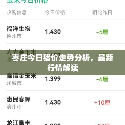 枣庄今日猪价走势分析，最新行情解读