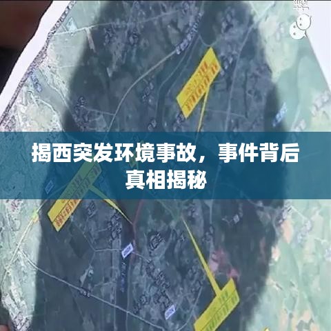 鲜花用途 第3页