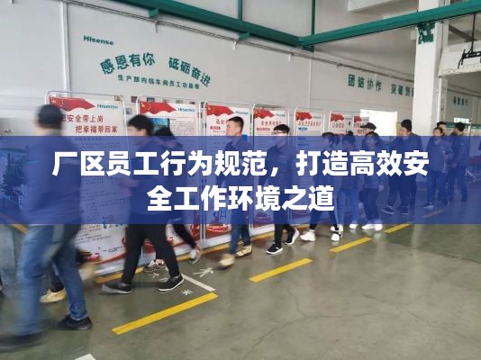 厂区员工行为规范，打造高效安全工作环境之道