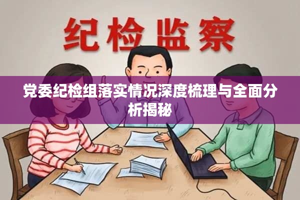 党委纪检组落实情况深度梳理与全面分析揭秘