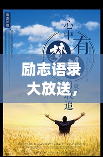 关于订购 第3页