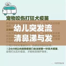 幼儿突发流清鼻涕与发烧，家长应对策略全解析