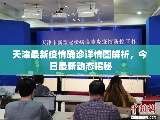 天津最新疫情确诊详情图解析，今日最新动态揭秘