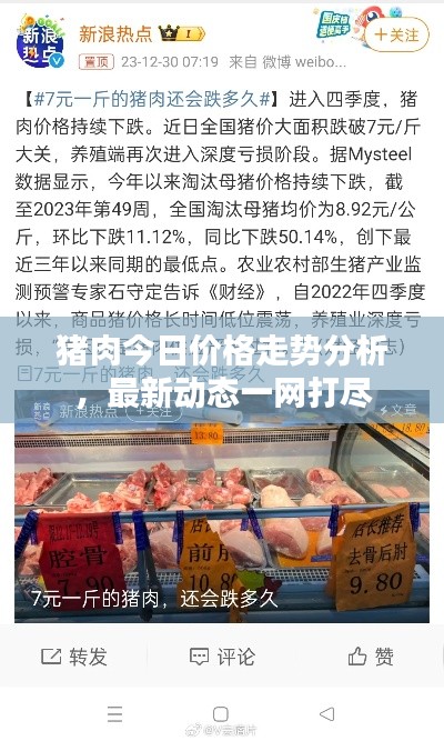 猪肉今日价格走势分析，最新动态一网打尽