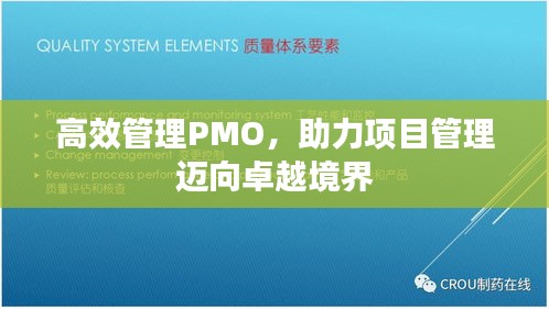 高效管理PMO，助力项目管理迈向卓越境界